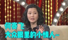 微博爆料何赛飞事件视频,真相揭秘引热议